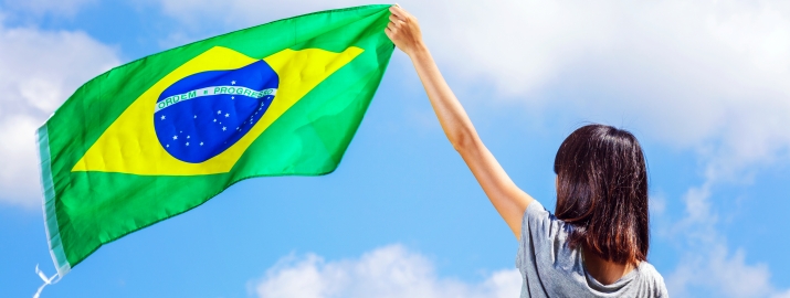 Brazil e-Residency Program: What to Expect