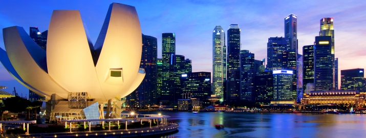 Singapore e-Residency Program: What To Expect