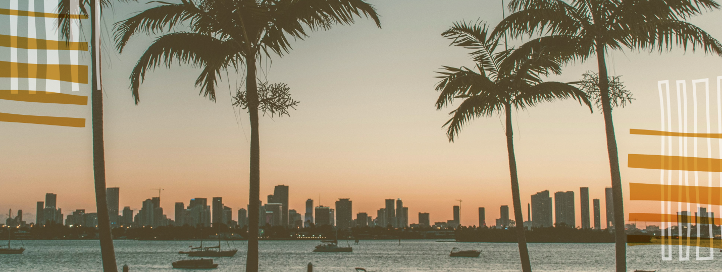 Moving to Florida, USA, palm trees near the ocean